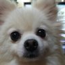 Katyumi-かちゅみ's profile picture