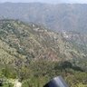 vaibhav sharma profil fotoğrafı