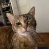 Natalia's profile picture