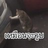 Фото профиля BEN