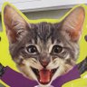 Profilbild von ArtCollectorCat