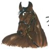 Profilbild von ごままがら@BBウィンDシュラゴン