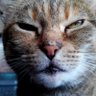 Profilbild von Nathalie