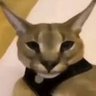 Hecker's profile picture