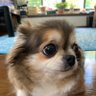 yu-yu-'s profile picture