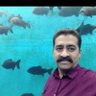 n sreedhar 的头像