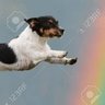 Icanfly profil fotoğrafı