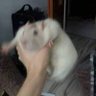 obwarzan75 ᴥ profil fotoğrafı