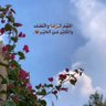 الطموح🇴🇲's profile picture
