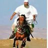 Larbi Boubالعربي-بوب🇩🇿's profile picture
