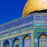 راضيه بقضاء الله 的头像