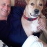 Jeffrey Fine's profile picture