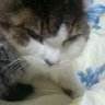 常盤 久人's profile picture