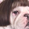 Jess Resende's profile picture
