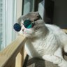 Profilbild von jjayo