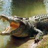 cak_cak profil fotoğrafı