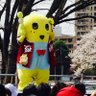 ひらっくま's profile picture