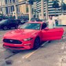 Albert Agarunov's profile picture