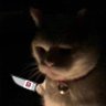 Profilbild von 粑粑王