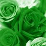 Profilbild von 💚