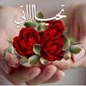 mnal alhannawe's profile picture