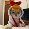 Profilbild von kaykayareokay