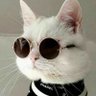 Profilbild von Мила моя Катруся 💫