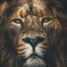 Profilbild von Believer