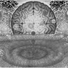 Thought is a Virus...'s profile picture