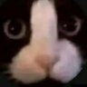 hyyyy21th's profile picture