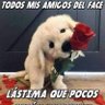 Jesús Siles 的头像