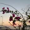 Фото профиля ابو عبدالله