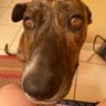 Jake's profile picture