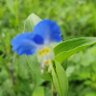 아름답고 즐거운 키드 profil fotoğrafı