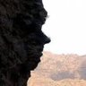 معنا بالشده 的头像