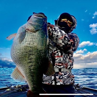 ttnn2564's profile picture