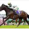 たろさん🏇🏇 的头像