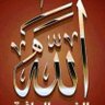 Фото профиля انور الجراح