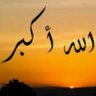 قاصد خير's profile picture