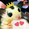 Profilbild von ã«ã³ã«ã³åè±