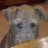 Profilbild von guy webster