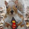 Squirrelly_Bird's profile picture
