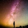 Jerry Zhang profil fotoğrafı
