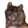 Profilbild von Porongo