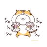 Ringo 的头像