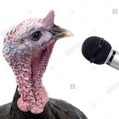 Los Tarrineristas's profile picture