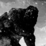 Profilbild von Sir Bigfoot