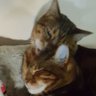 Myriam Francis & Isis & Osiris๐พ๐'s profile picture