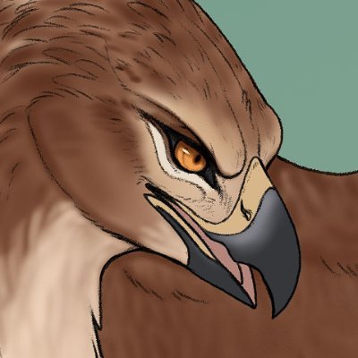 Gyrhawk๐ JMoF, NFC's profile picture