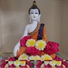 Narsimha Arpula profil fotoğrafı